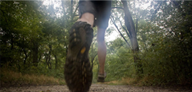 where-the-pavement-fails-head-for-the-trails
