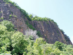 HookMt1