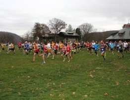 Start of the 2015 Alumni Run