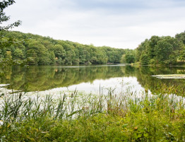 Rockefeller State Park Preserve 938x413