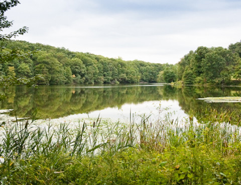 Rockefeller State Park Preserve 938x413
