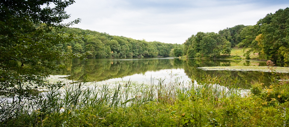 Rockefeller State Park Preserve 938x413